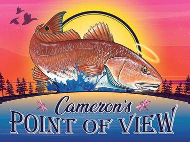 Cameron's Point of View